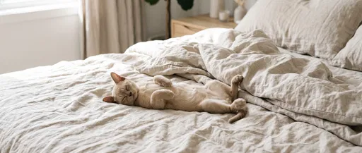 Beige Kitten Sleeping on Linen Bed
