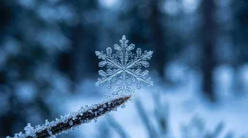 Macro Snowflake on Frosted Pine Needle