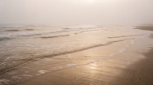 Foggy Morning Waves on Sandy Beach