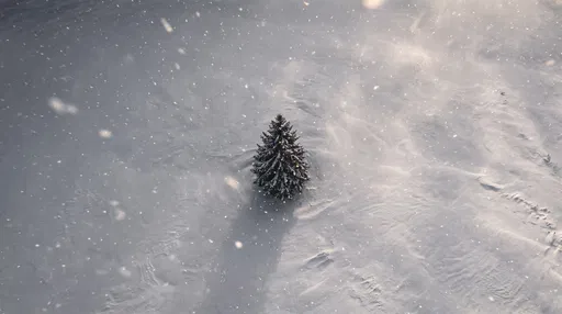 Lone Pine Tree in Snowy Field