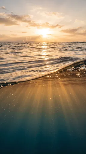Golden Sunset Ocean Split View