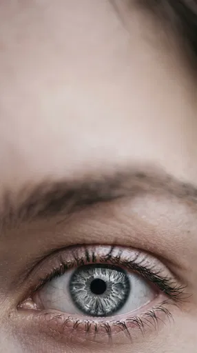 Macro Close-Up of Grey Human Eye