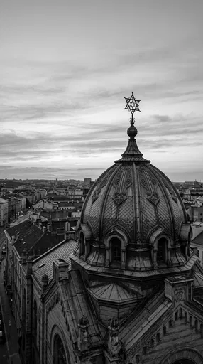 Monochrome Aerial View of Synagogue Dome