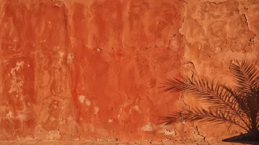 Terracotta Stucco Wall With Palm Shadow