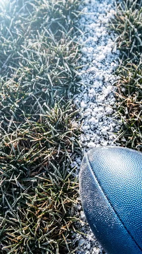 Frosty Blue Football on Winter Grass