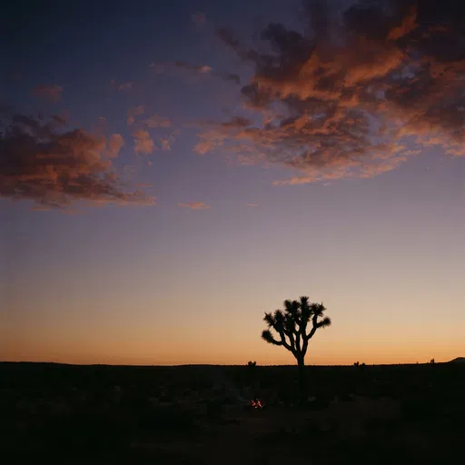 Joshua Tree Silhouette at Desert Dusk
