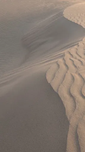 Minimalist Warm Taupe Sand Ripples Wallpaper