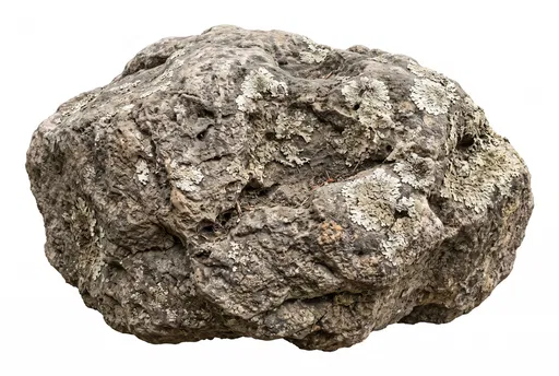 Weathered Boulder With Pale Lichen