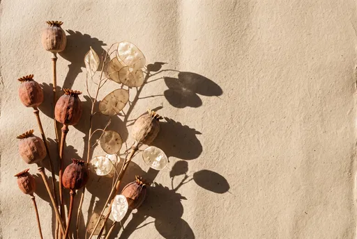 Dried Poppy Pods and Lunaria Flat Lay