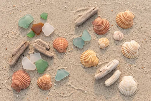 Coastal Flat Lay of Shells and Glass
