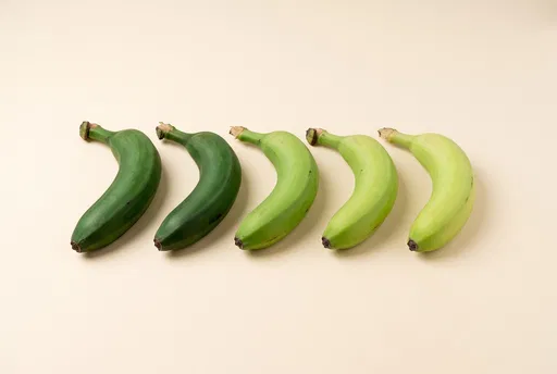 Five Green Bananas in Gradient Row