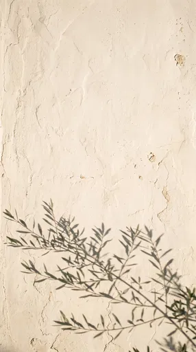 Olive Branch Shadow on Plaster Wall