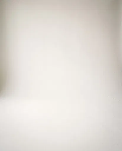 Seamless Eggshell White Studio Backdrop
