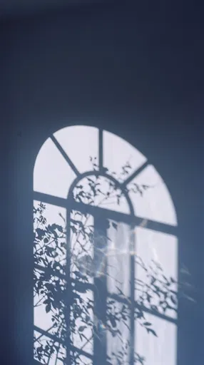 Arched Window and Leaf Shadows on Wall