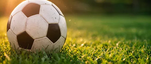 Soccer Ball on Grass in Sunlight