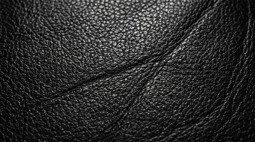 Black Pebbled Leather Macro Texture