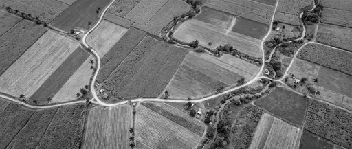 Monochrome Aerial View of Rural Farmland