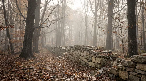 Misty Autumn Forest With Dry Stone Wall