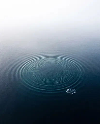 Concentric Ripples in Misty Dark Water