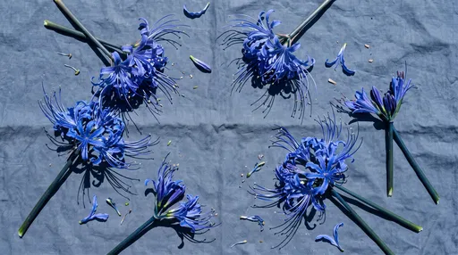 Blue Spider Lilies Flat Lay on Linen