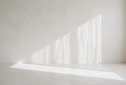 Minimalist White Plaster Wall with Curtain Shadows