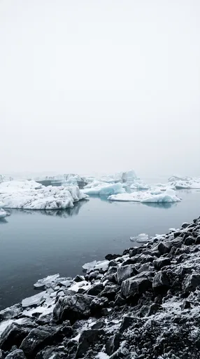 Floating Icebergs in Foggy Arctic Lagoon