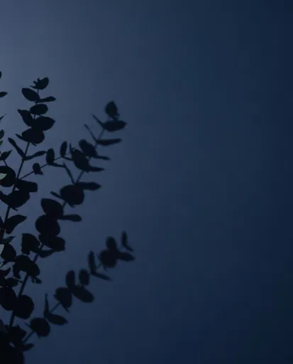Eucalyptus Shadows on Navy Blue Wall