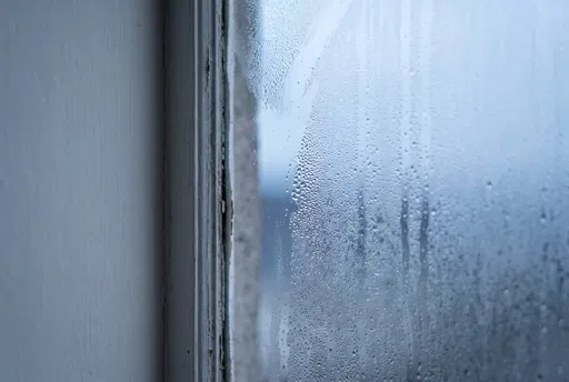 Condensation Droplets on Cold Window Pane