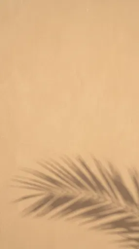 Palm Shadow on Tan Plaster Wall