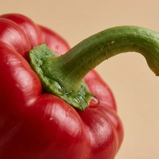 Red Bell Pepper Stem Macro
