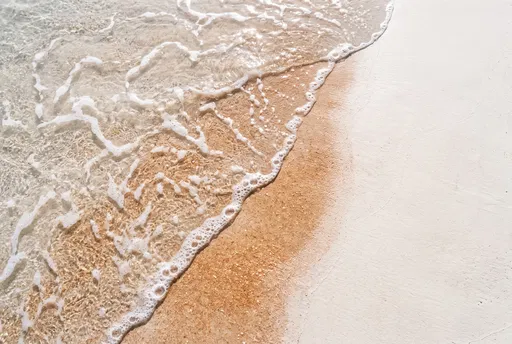 Overhead Ocean Foam on Warm Shoreline