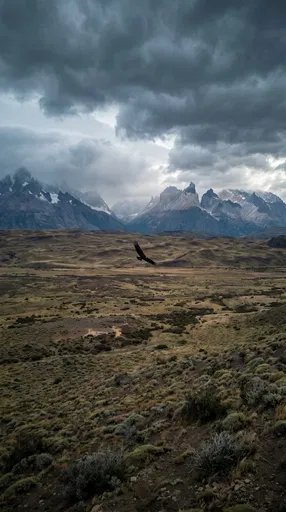 Bird Soaring Over Moody Patagonian Steppe