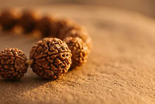 Macro Close-Up of Rudraksha Prayer Beads