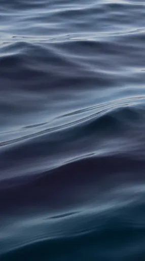 Minimalist Blue Hour Ocean Swells