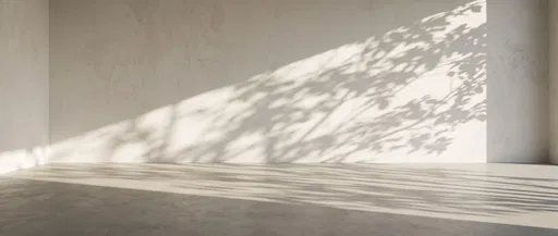 Minimalist Plaster Room With Leaf Shadows