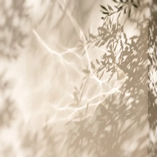 Sunlight Caustics and Leaf Shadows on Wall