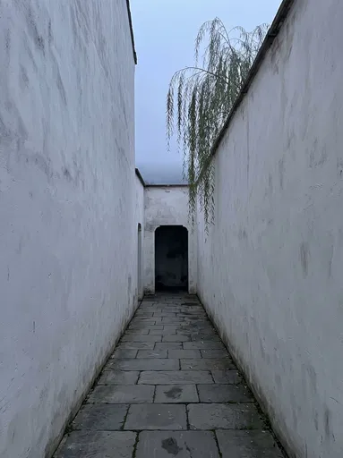 Weathered White Alleyway With Willow