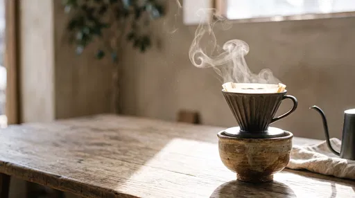 Ceramic Pour-Over Coffee Dripper With Steam