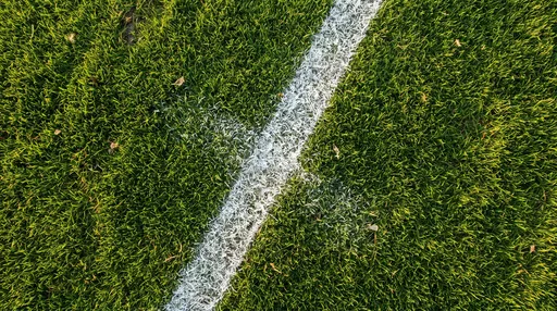 Overhead Green Turf With White Line