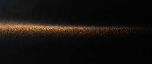 Golden Grazing Light on Black Silk