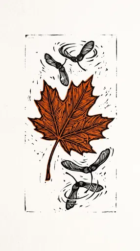 Linocut Maple Leaf and Spinning Seeds