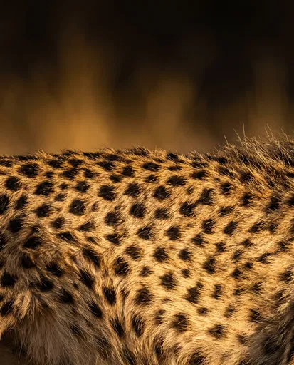 Close-Up Golden Cheetah Fur Texture