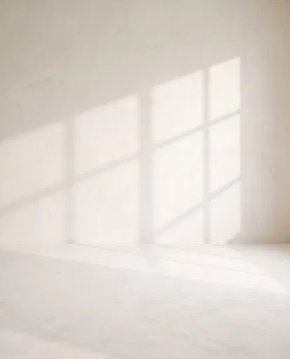 Minimalist Plaster Room With Window Shadow