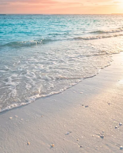 Tropical Beach Shoreline at Sunset