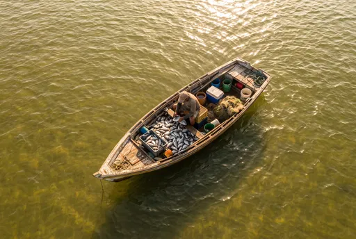 Aerial View of Fisherman Sorting Catch
