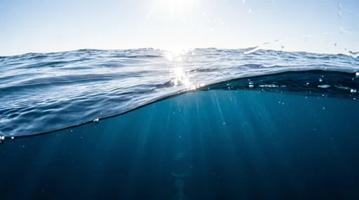Split View of Ocean Surface and Sunbeams