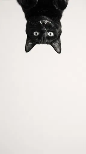 Upside Down Black Cat Portrait
