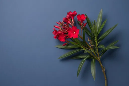 Red Nerium Oleander Branch on Blue Backdrop