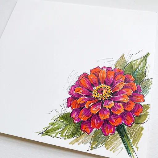 Magenta and Tangerine Zinnia Drawing