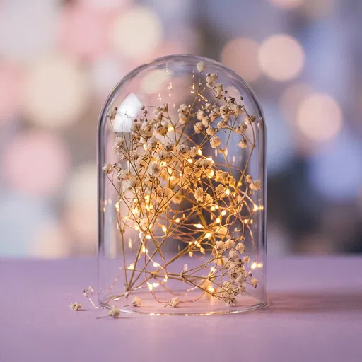 Glass Cloche With Fairy Lights and Flowers